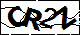 验证码