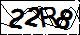 验证码