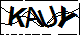 验证码