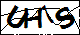 验证码