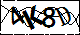 验证码
