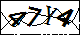 验证码