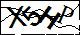 验证码