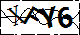 验证码