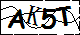 验证码