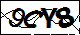 验证码