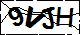 验证码