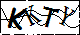 验证码