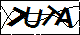 验证码