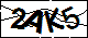 验证码