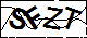 验证码