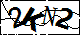 验证码