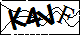 验证码