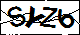 验证码