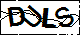 验证码