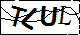 验证码