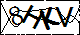 验证码