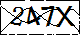 验证码