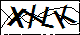 验证码