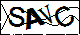 验证码