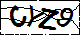 验证码
