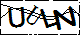 验证码