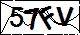 验证码