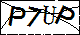 验证码