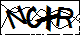 验证码