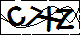 验证码