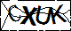 验证码