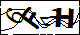 验证码