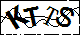 验证码