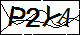 验证码